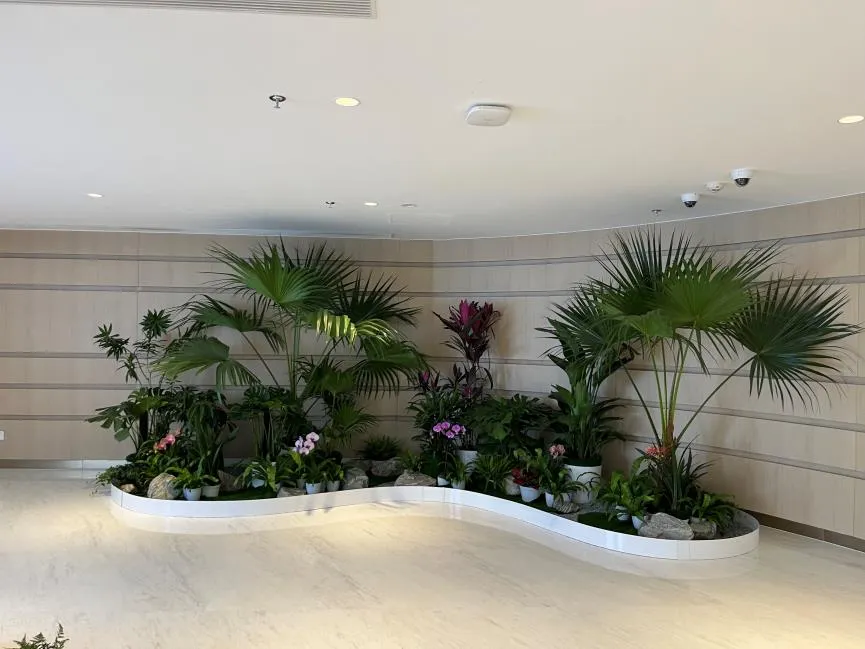 想实惠绿化修剪？海曙这里别错过！